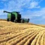 Statul elimină restricţiile pentru achiziţia de terenuri agricole de către străini după 1 ianuarie